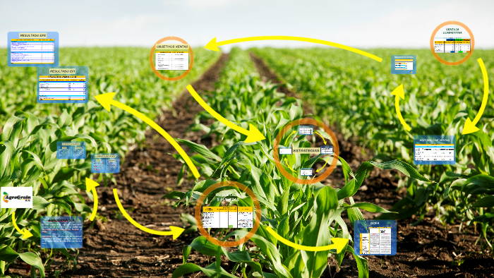 PLAN DE MARKETING AGROGRAIN S.A by Gerencia Integral on Prezi