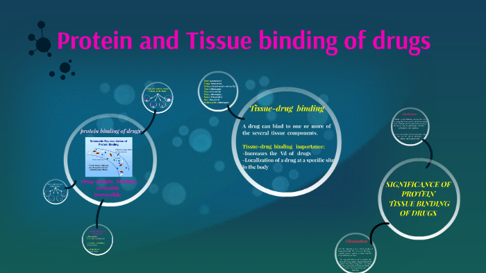 Protein and Tissue binding of drugs by narges poursina on Prezi