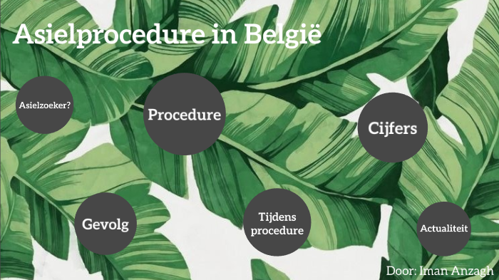 Asielprocedure In België By Iman Anzagh On Prezi