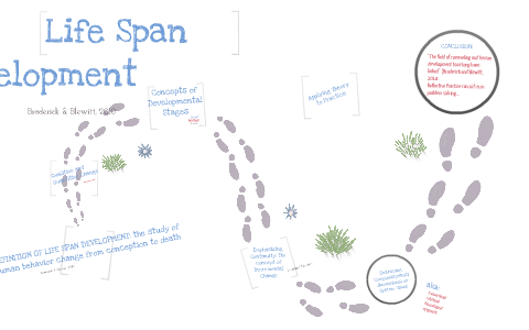 human development life span