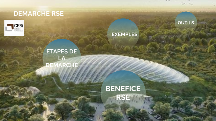 Présentation RSE by sandrine roussel on Prezi