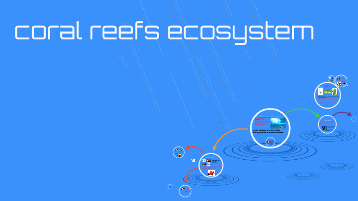 Coral Reefs Ecosystem By Reggae Shark Lasko Basko