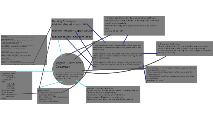 Mother/Baby Concept Map by Emma Friesel on Prezi