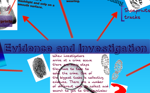 Evidence and Investigation-Grade 6 by Sarah Romaniuk