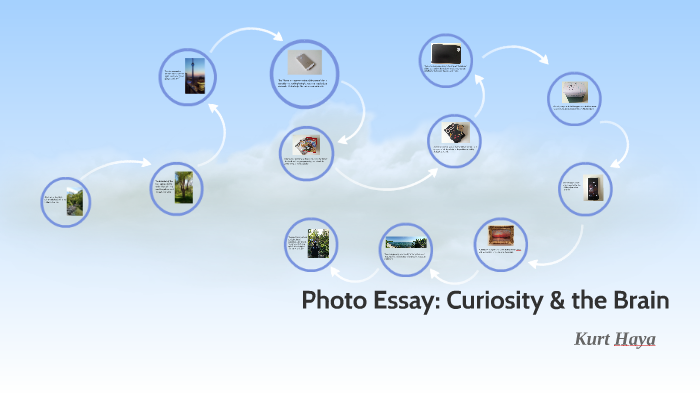 essay about curiosity