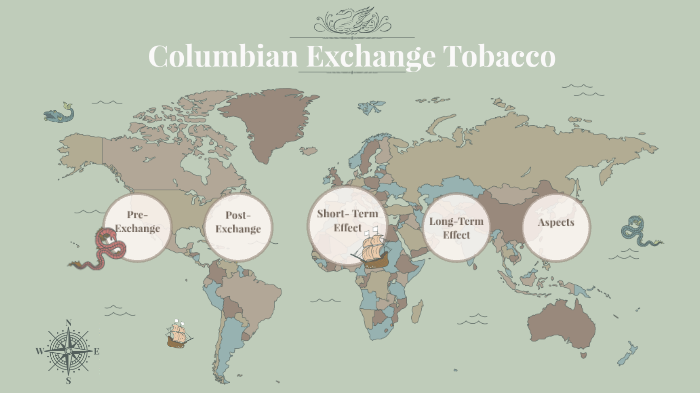 tobacco columbian exchange Columbian Exchange Tobacco by Miller Burnham on Prezi