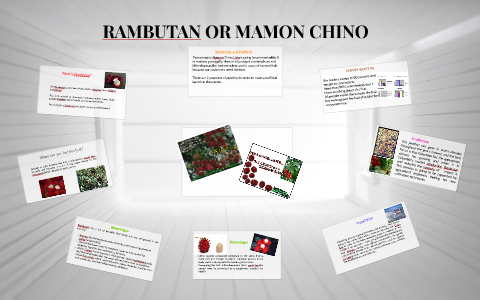 Rambutan Or Mamon Chino By Cindy Paola Rojas Munoz