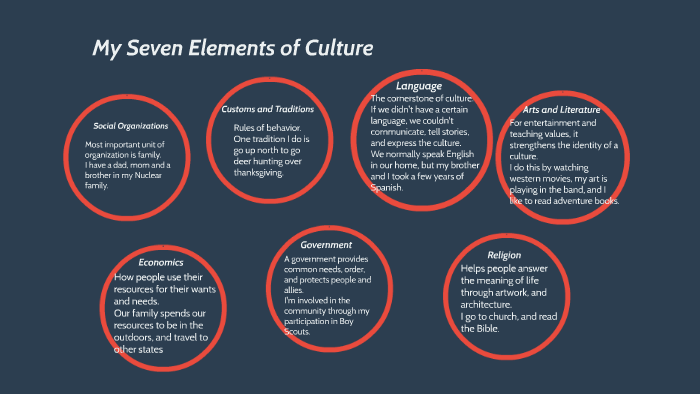 elements of culture in sociology