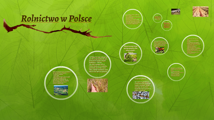 Rolnictwo w Polsce by on Prezi