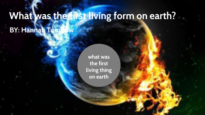 What Was The First Living Form On Earth By Hannah Turnbow what-was-the-first-living-form-on-earth-by-hannah-turnbow