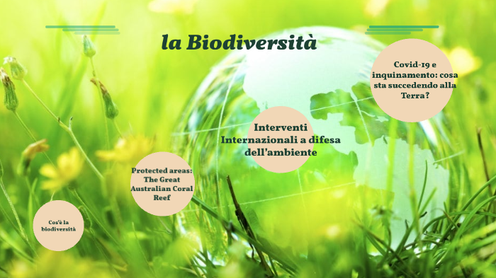 Esposizione tesina Biodiversità by Giulia Angeletti on Prezi