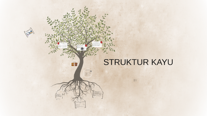 STRUKTUR KAYU By On Prezi