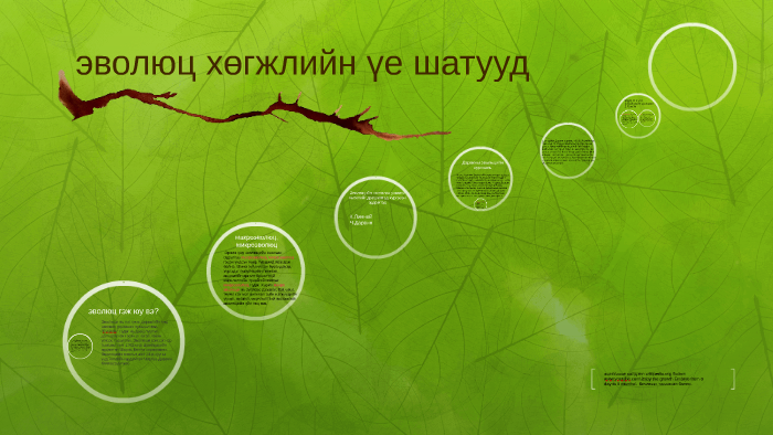 эволюц хөгжлийн үе шатууд by erdene suwd on Prezi