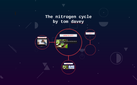 The nitrogen cycle by tom davey on Prezi
