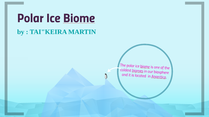 Polar Ice Biome by Tai'Keira Martin