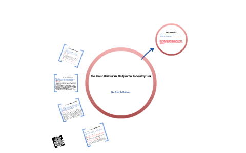 soccer mom case study answer key