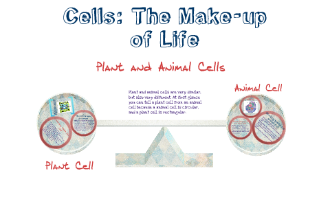 plant and animal cells by Stephanie Reeves on Prezi