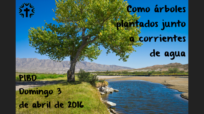 Salmo 1: Cómo es un árbol bien sembrado? by Roberto Azofeifa on Prezi