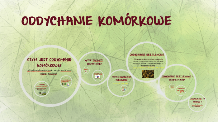 Oddychanie Komorkowe By Dominika Magdalena On Prezi Next