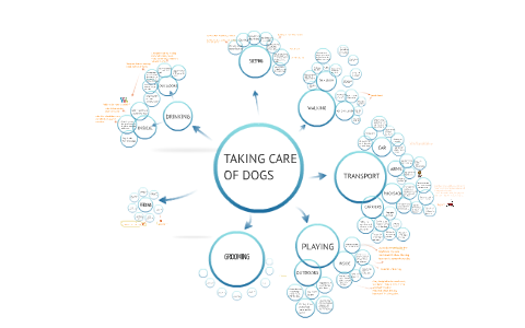 MIND MAP by Alina Chiriceanu on Prezi