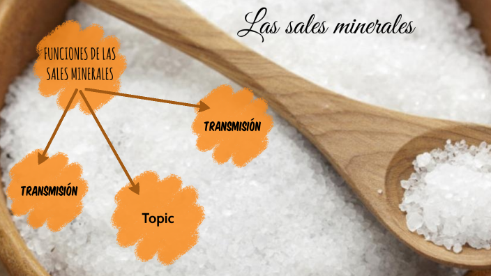 FUNCIONES DE LAS SALES MINERALES By Carol Perez On Prezi