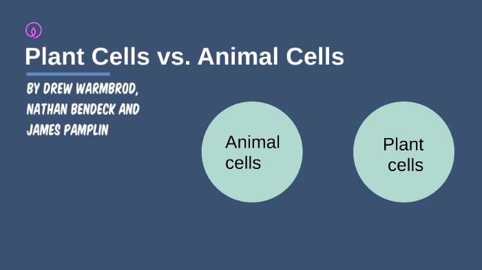 Plant vs Animal cells by Nathan Bendeck on Prezi