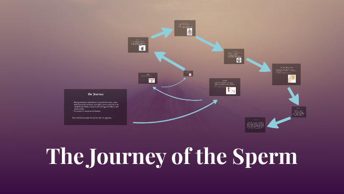 journey of mr sperm cell