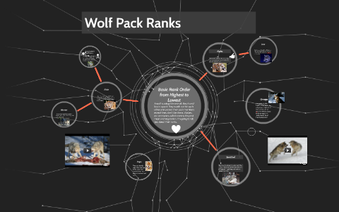 Wolf system. Вольф пак снаряжение. Таблица дистанций в игре Wolfpack. Wolfpack система Марс. Wolfpack снаряжение Марс.