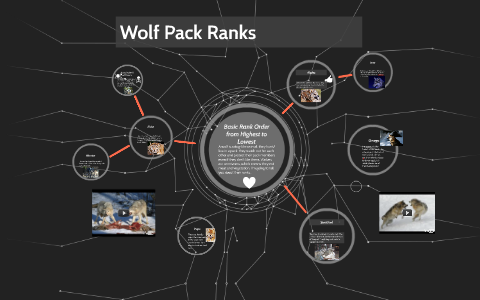 Wolf Pack Hierarchy Chart