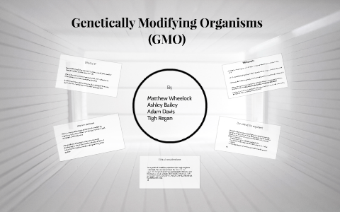 Matthew Wheelock Genetically Modified Organisms by Matt Wheelock on Prezi