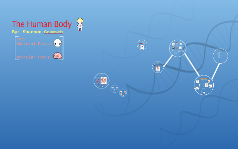 The Human Body by Shannon Gramsch on Prezi