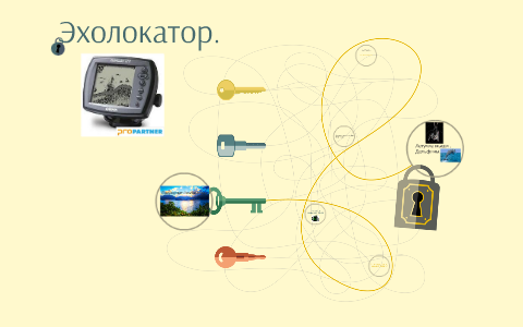 Крылатые эхолокаторы проект