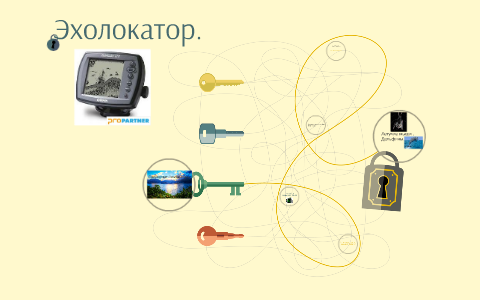Эхолокатор by Виталий Богданович on Prezi