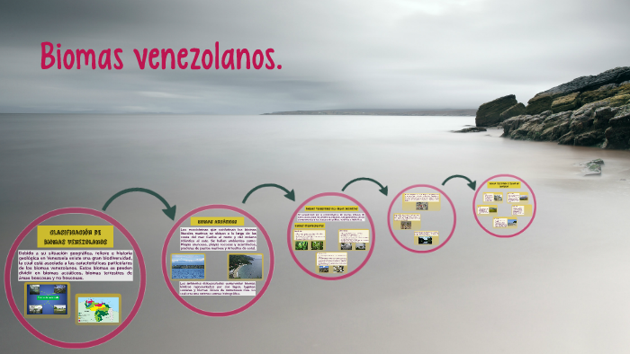 Clasificación de Biomas Venezolanos by Gabriela Nadal Salazar on Prezi Next