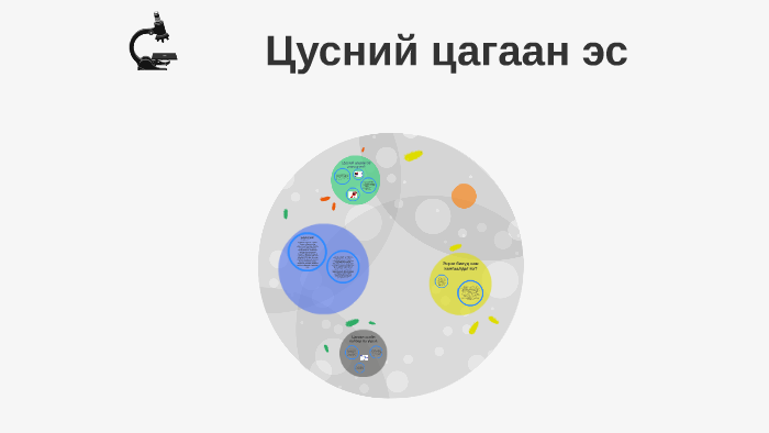 Цусний цагаан эс by Ba Be on Prezi