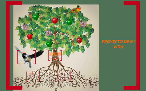 PROYECTO DE MI VIDA by Julian Garzon on Prezi