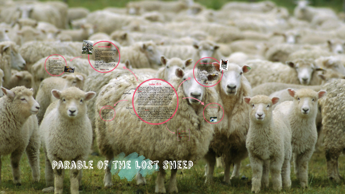 Parable of the Lost sheep by on Prezi
