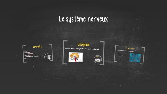le systeme nerveux by antonin martin on Prezi