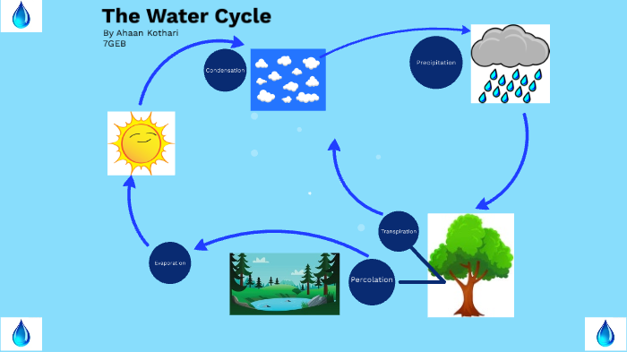 The Water Cycle by Ahaan Kothari on Prezi
