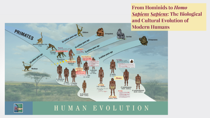 From Hominids To Homo Sapiens Sapiens: The Biological And Cu By Rey ...