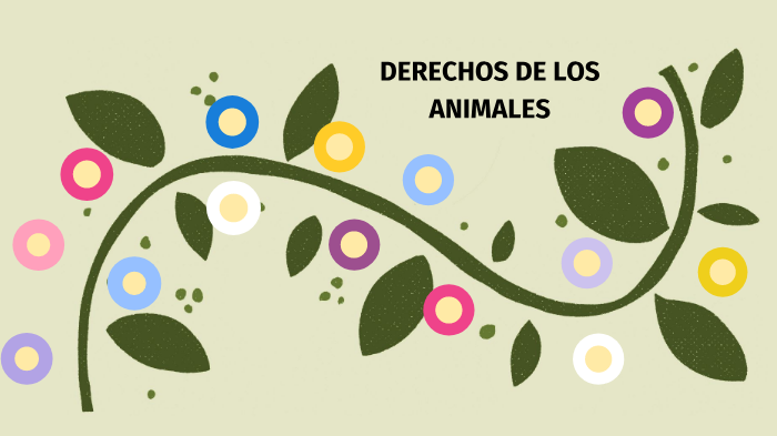 DERECHOS DE LOS ANIMALES by Jocelyn Maciel on Prezi