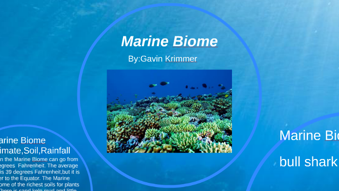 Marine Biome by Gavin Krimmer on Prezi Next