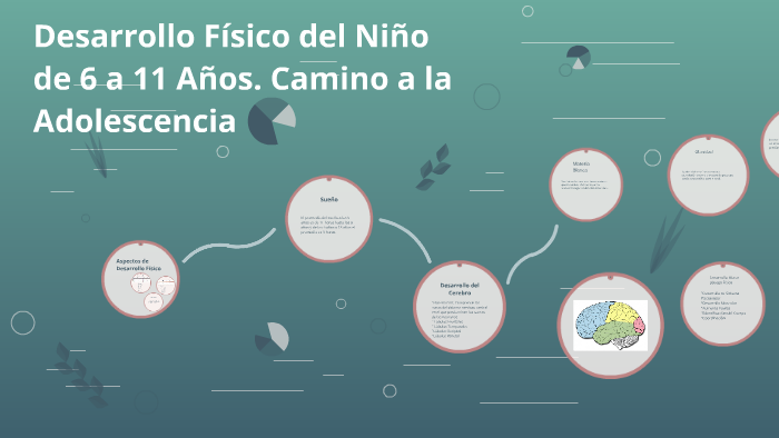 Desarrollo Físico del Niño de 6 a 11 Años. Camino a la Adole by Orlando