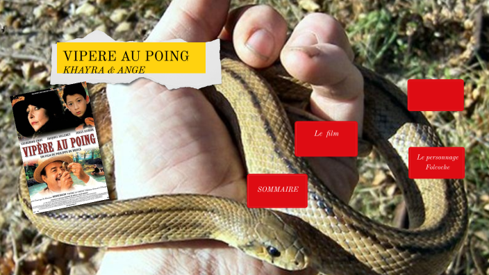 film vipère au poing by Khayra Abdelmeraim on Prezi