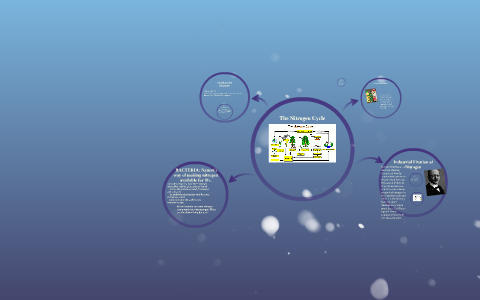 The Nitrogen Cycle by Fernando Herrera on Prezi