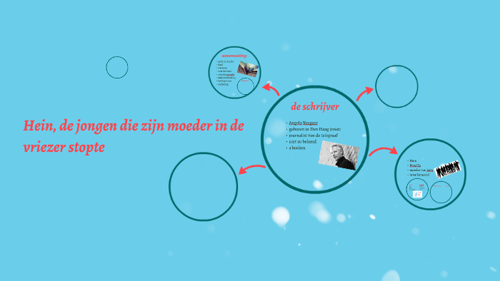 Hein, de jongen die zijn moeder in de vriezer stopte by Ilse