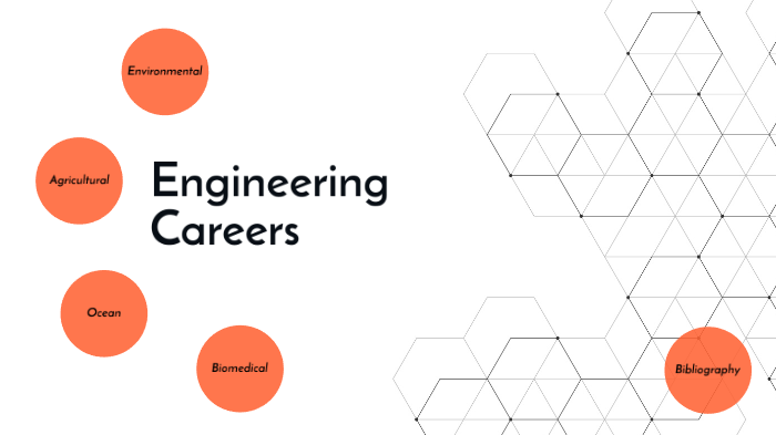 Drafting Careers by maggie borschowa on Prezi