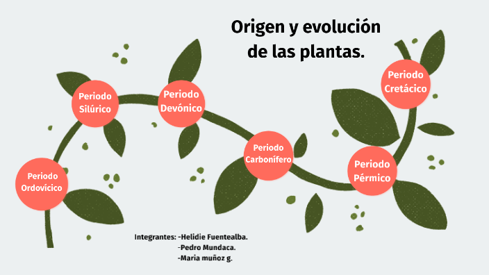 Naturalio Linea De Tiempo De Las Plantas Images