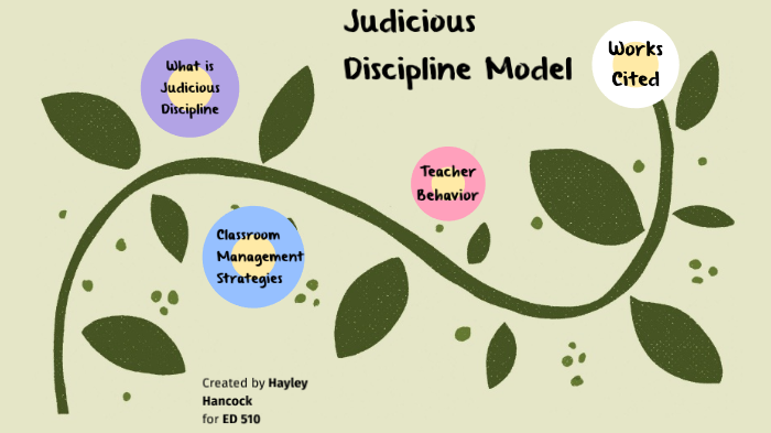 judicious-discipline-by-hayley-hancock