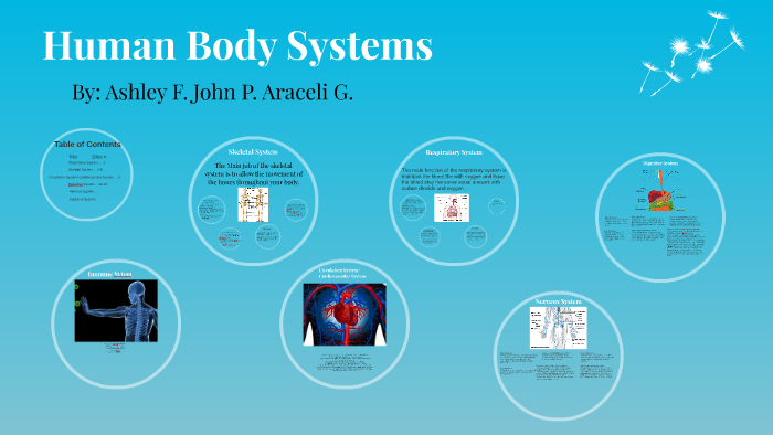 Human Body Systems by araceli gastelum on Prezi